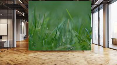 green grass background Wall mural