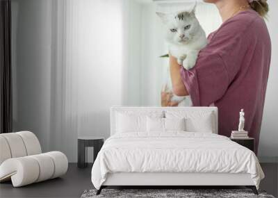 In a beautifully serene scene, a person is gently holding a soft and fluffy cat in a minimalist styled room Wall mural