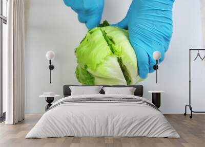 Chef hands in blue gloves cutting fresh iceberg salad close up on white kitchen board. Minced with big iron knife. Cooking, preparing ingredients in professional restaurant. Top down view. 4k footage. Wall mural