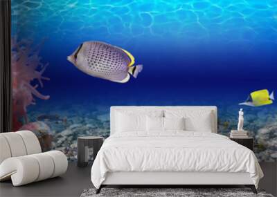 Underwater world - panorama Wall mural