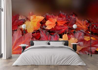 autumn background forest with maple trees and sunny beams Wall mural