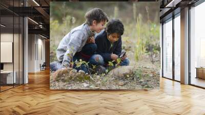 two boys in nature sitting on the ground looking at a magnifying glass plants Wall mural