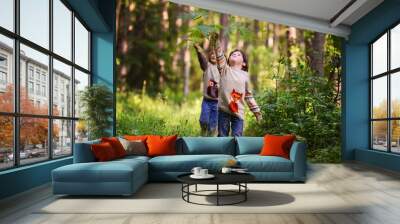 Two boys in similar sweaters walk in the woods. Summer in the forest with fern Wall mural