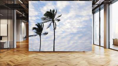 two palm trees on blue fluffy clouds sky background Wall mural