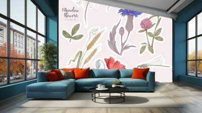 Hand drawn meadow flowers illustrations. Isolated watercolor natural sticker pack. Floral clip art set. Wall mural