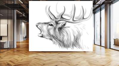 Deer. Sketch, artistic, black-and-white portrait of a roaring deer on a white background. Wall mural