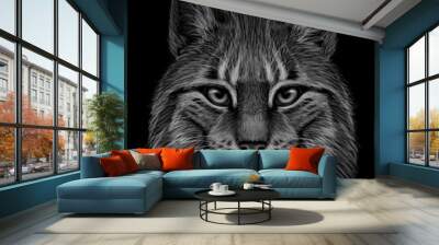 Lynx. Graphic, drawn, monochrome portrait of a lynx head on a black background. Wall mural