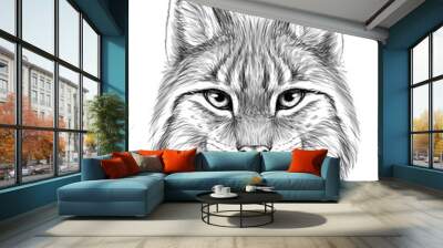 Lynx. Sketch, drawn, graphic portrait of a lynx head on a white background Wall mural