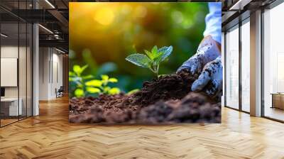 A person collecting soil samples for farm analysis and evaluation. Concept Agriculture, Soil Analysis, Farm Evaluation, Field Work, Soil Sampling Wall mural