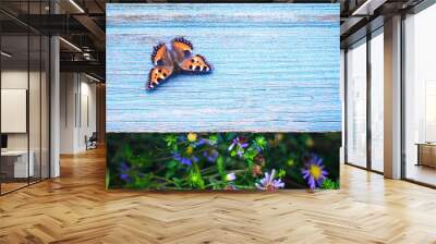 black-orange butterfly on a blue empty rustic shabby wooden board, summer background with painted wood copy space Wall mural