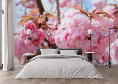 branch of blossom pink cherry or sakura in garden, vertical outdoors stock photo image Wall mural