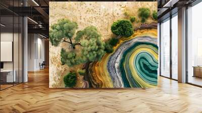 Australian Aboriginal dreamtime creation story of the rainbow serpent shaping the land rivers trees and people. Concept Australian Aboriginal Dreamtime, Creation Story, Rainbow Serpent, Shaping Land Wall mural