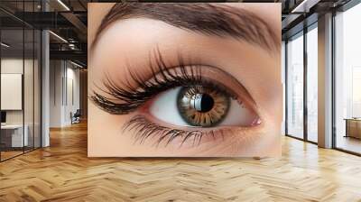 Closeup female eye with makeup or natural radiance studio background. Concept Closeup Portraits, Female Eye Makeup, Natural Radiance, Studio Background Wall mural