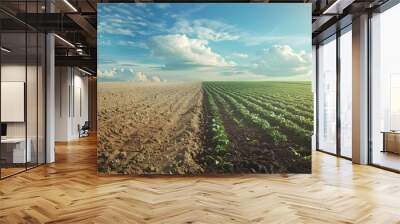 Comparison of barren field and thriving crop field with rainwater harvesting system showcasing its effectiveness in irrigation. Concept Barren vs Thriving Fields, Rainwater Harvesting Wall mural