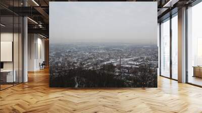 Old town in Lviv, winter view from the top of the mountain on the snow-covered lions in the fog Wall mural