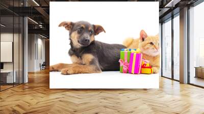 Dog with a kitten with a gifts. Wall mural