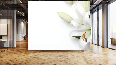 Funeral Program Design with White Lily and Ample Text Space. Concept Funeral Program Design, White Lily Theme, Ample Text Space, Elegant Layout Wall mural