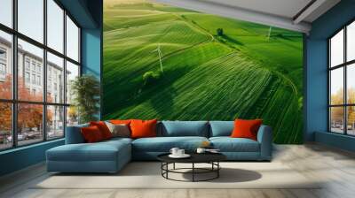 windmills in a green field, aerial view. copy space. green ecology landscape background  Wall mural