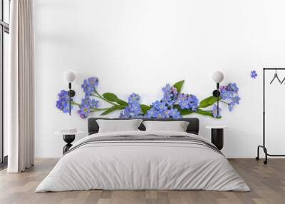 Beautiful blue flowers forget-me-nots ( scorpion grasses ) on a white background with space for text. Top view, flat lay Wall mural