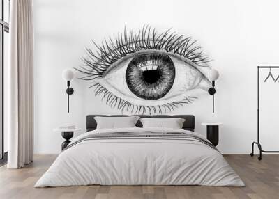 Hand-drawn human eye on white background. Art illustration black and white pencil drawing Wall mural