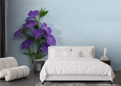 Periwinkle violet flowers on a blue background with space for text. Top view, flat lay. Spring flowers Wall mural