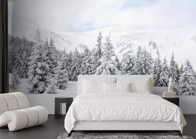 Winter landscape of mountains in fir tree forest and glade in snow. Carpathian mountains Wall mural