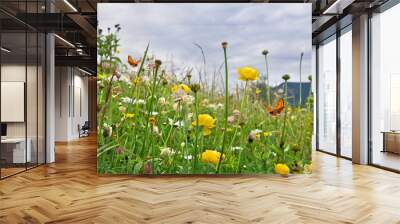 Yellow flowers of wild buttercup and wildflowers on meadow in summer. Orange butterfly with black dots scarce copper above summer wildflowers Wall mural