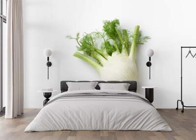 Fennel isolated top view Wall mural