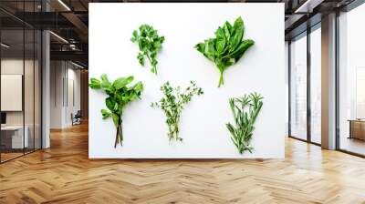 Fresh culinary herbs on white background: rosemary, thyme, mint, basil and parsley in small bunches Wall mural