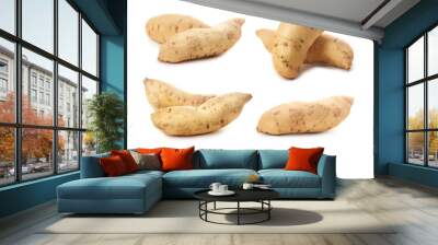 Layout with white sweet potato isolated on white background Wall mural