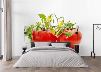 Ripe red tomatoes. Wall mural