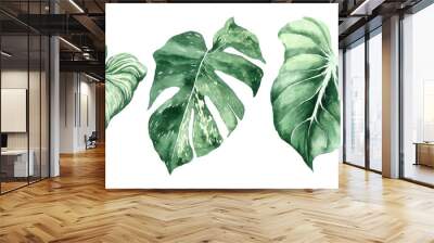 Set of tropical leaves. Jungle, botanical watercolor illustrations, floral elements, palm leaves, fern and others. Hand drawn watercolor set of Anthurium green leaves and home plant, isolated Wall mural