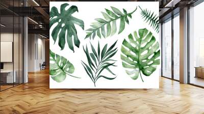 set of watercolor tropical leaves on white background. Green palm leaves, monster, homeplants, banana leaves. Exotic plants. Jungle botanical watercolor illustrations, floral elements. Wall mural