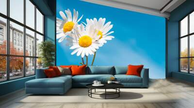 summer bouquet of daisies in hand against the blue sky Wall mural