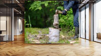 The woodcutter cuts firewood in the wood Wall mural