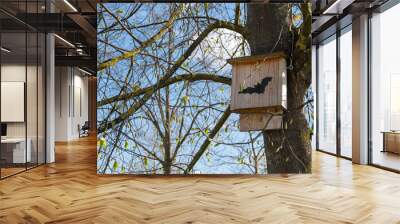 tree house for bats in the park Wall mural