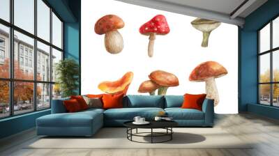 set of watercolor hand-drawn mushrooms for design and decor Wall mural