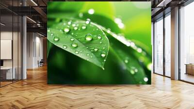 water drops on green leaf Wall mural