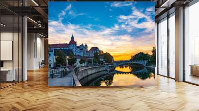 view of the sights and the Danube in the German city of neuburg an der donau Wall mural