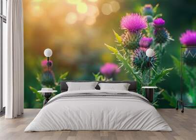 Young milk thistle plant with thorny leaves purple blooms symbolizing herbal detox. Concept Herbal Detox, Milk Thistle Plant, Purple Blooms, Thorns, Young Plant Wall mural