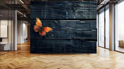 Butterfly on the background of a black wooden wall Wall mural