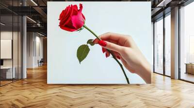 Hand holding rose Wall mural