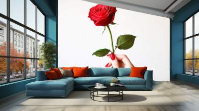 Hand holding rose Wall mural