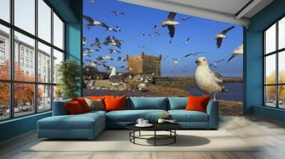 Gulls in the city of Essouira, Morocco Wall mural