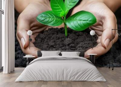 Close-up of hands cupping a small, vibrant green plant growing from dark soil, representing environmental sustainability, growth, and care for the planet Wall mural