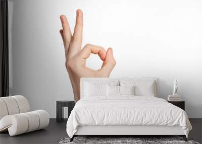 hand gesture OK on an isolated background. Outer side. Wall mural