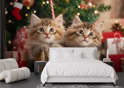 Two cute kittens with festive Christmas background, copy space
Christmas cats, gift, holiday celebration, animal photography, copy space Wall mural