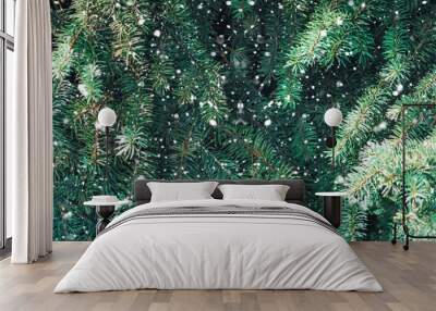 Christmas tree branches background with falling snow. Wall mural