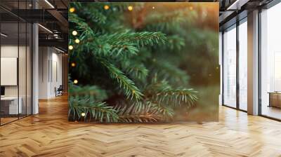 Christmas tree branches with a garland with sunlight. Wall mural