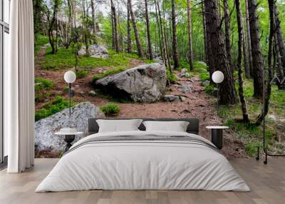 Red T marks on a boulder and a tree on a hiking trek to Lifjel mountain, Sandnes, Norway, May 2018 Wall mural